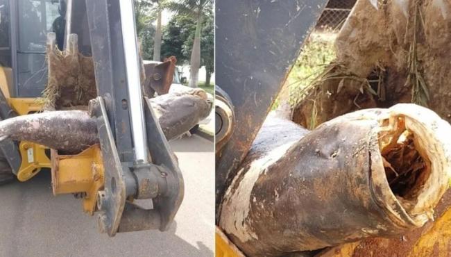 Carpa gigante é retirada de represa com ajuda de retroescavadeira