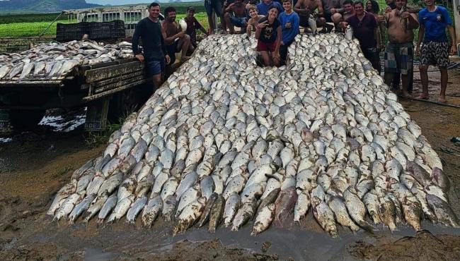 Casal pesca 3 toneladas de peixes e distribui para moradores, no ES