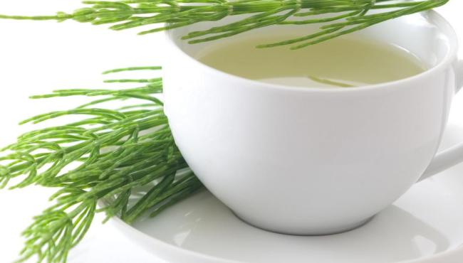 Cavalinha: chá diurético natural ajuda a reduzir inchaço, apoiar os rins e contribuir para a saúde óssea