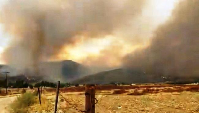 Chá de revelação causa incêndio florestal