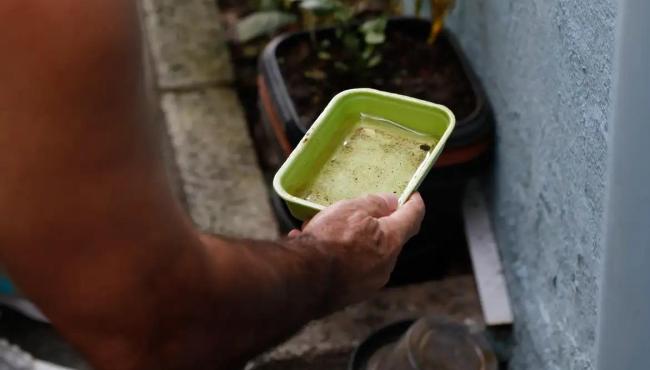 Chikungunya traz preocupações após uma década de presença no Brasil