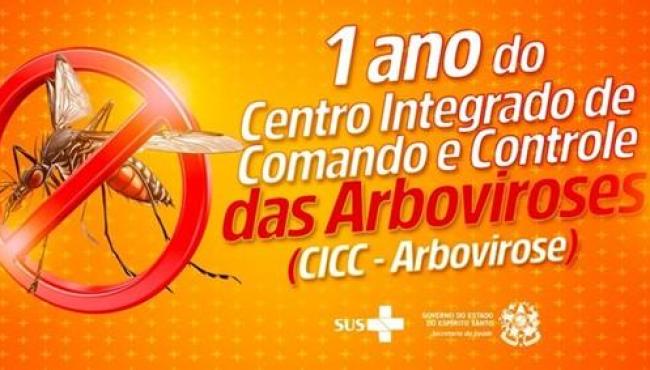CICC de Arboviroses completa um ano de trabalho com fortalecimento de ações de enfrentamento à dengue e demais doenças, no ES