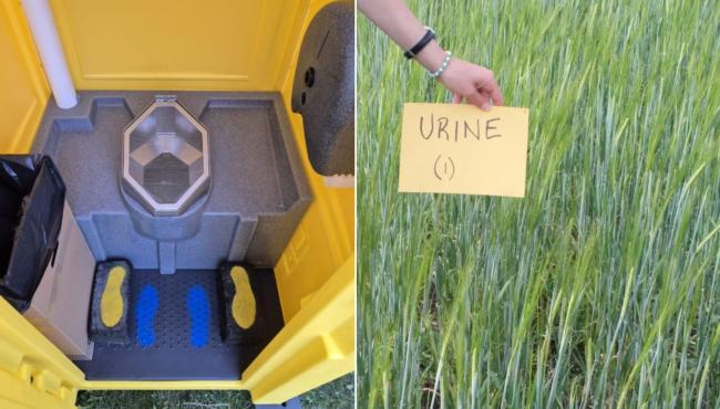 Cientistas coletam 15 mil litros de urina para produzir cerveja