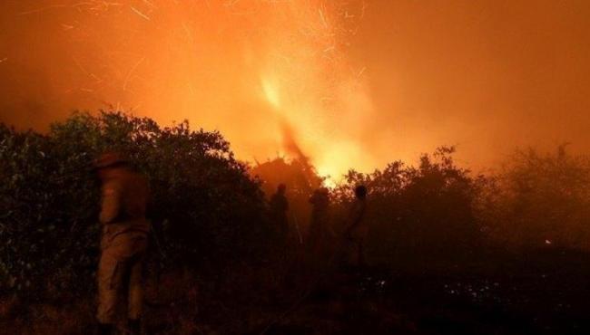 Com queimadas em alta, Pantanal pega fogo acima e abaixo da terra