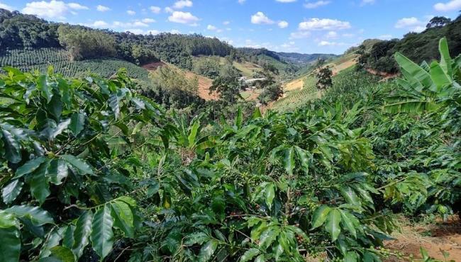 Como fica a agricultura capixaba com o Estado de Alerta sobre a situação hídrica no Espírito Santo