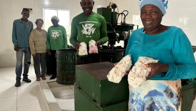 Comunidade quilombola amplia produção de farinha e derivados de mandioca, em Conceição da Barra, no ES