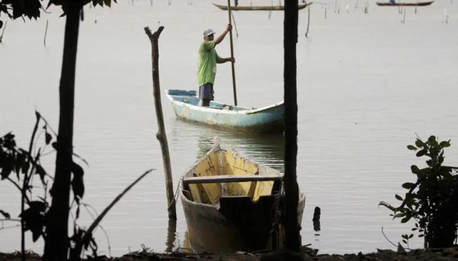 Conferências estaduais de aquicultura e pesca serão em junho e julho