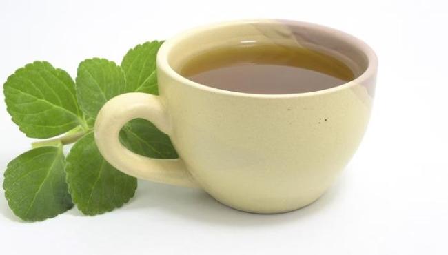 Confira 5 receitas de chá de boldo para melhorar a digestão