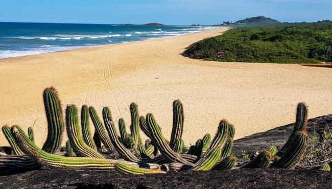 Confira como será o funcionamento dos parques estaduais no fim de ano