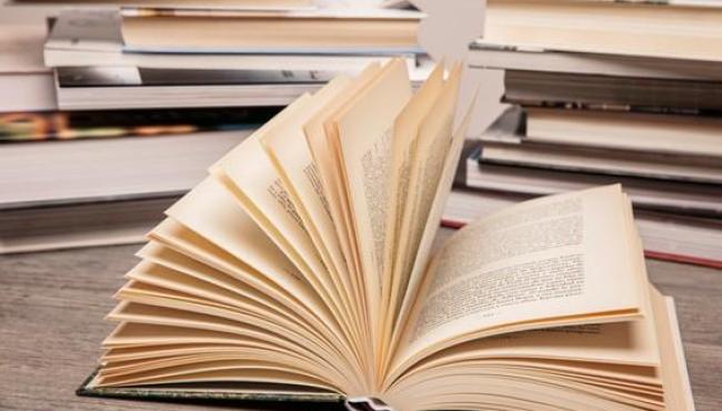 Consciência Negra: conheça 12 autores negros da literatura brasileira
