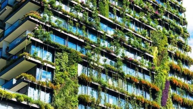 Construções sustentáveis: tudo o que você precisa saber sobre o futuro da arquitetura
