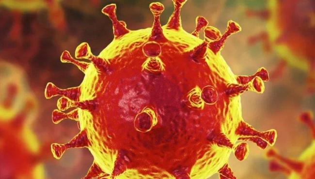 Coronavírus pode infectar pênis, testículos e próstata, mostra estudo