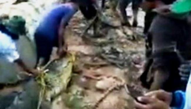 Corpo de pescador desaparecido é encontrado dentro de crocodilo gigante