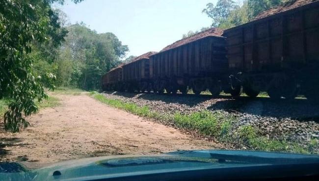 Corpo é encontrado com mãos amarradas e perfurações na cabeça, em Santa Leopoldina, ES