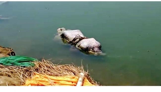 Corpos de possíveis vítimas da Covid-19 aparecem às margens do Ganges, na Índia