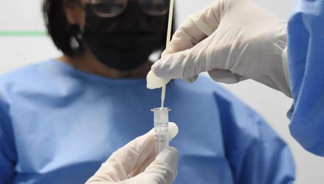 Covid-19 causou metade das mortes por vírus respiratórios em 4 semanas