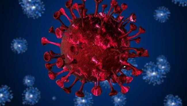 Covid: Brasil registra primeiros casos da nova variante XFG