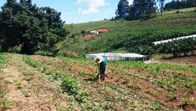 Crédito fundiário: 162 famílias foram contempladas em oito meses
