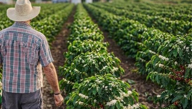 Crédito rural no Espírito Santo atinge recorde de R$ 8,31 bilhões no ano-safra 2025/2026