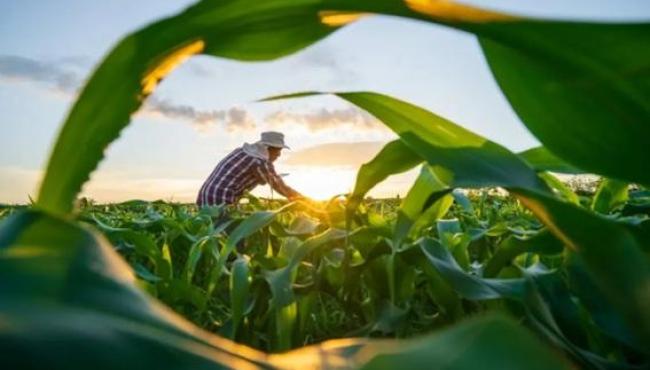 Crédito rural para agricultura familiar cresce R$ 235 milhões no Espírito Santo e supera R$ 2,36 bilhões