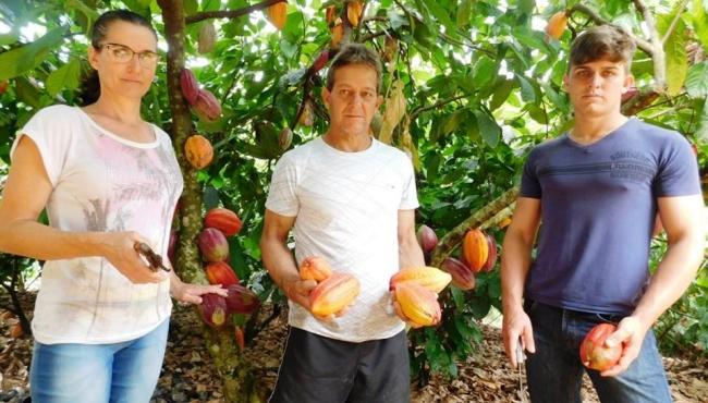 Cultivo de cacau e produção de chocolate pelas mesmas mãos