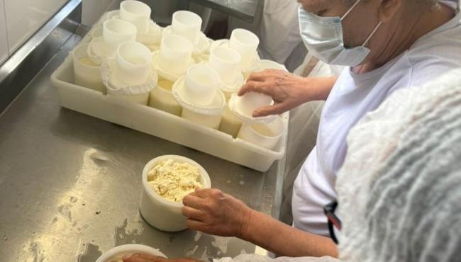 Curso prepara agroindústrias de queijo para regularização no Norte e no Noroeste do ES