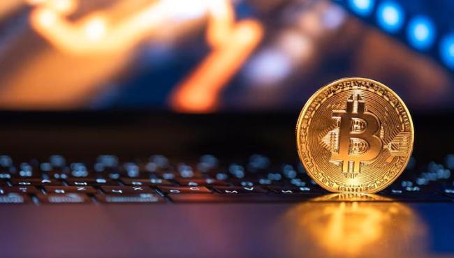 Custódia de criptomoedas: quais são as possibilidades?