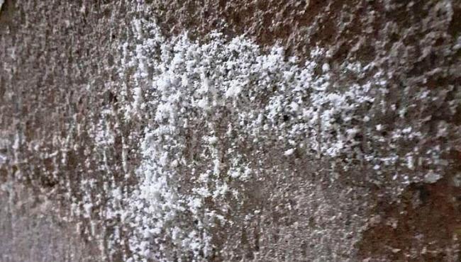 Defesa Civil conclui que pó branco encontrado em casas em Maceió é eflorescência