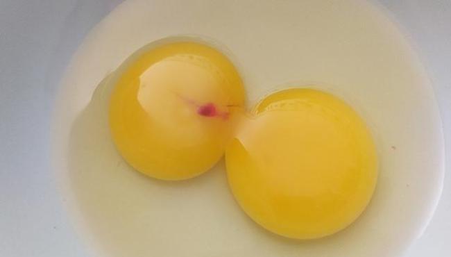 Descubra o que significa uma mancha vermelha na clara do ovo