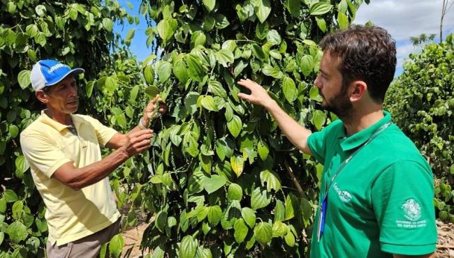 Dia da Extensão Rural é celebrado com semana de eventos no Espírito Santo