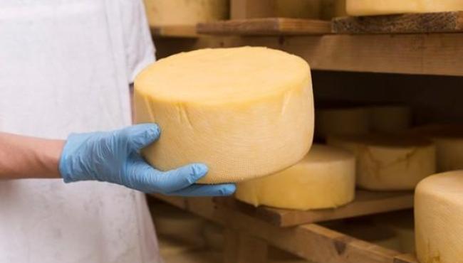 Dia do Queijo destaca a força da produção artesanal no Espírito Santo