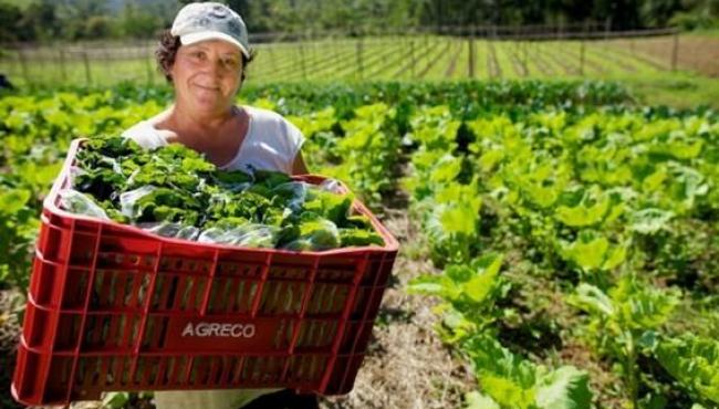 Dia Internacional das Mulheres Rurais: elas transformam o campo e inspiram o futuro da agricultura no Espírito Santo