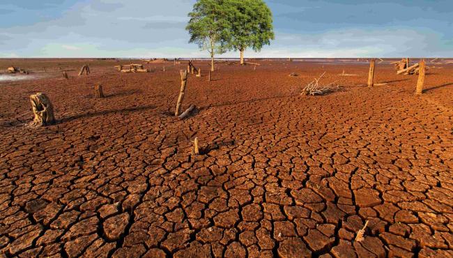 Dia Mundial do Meio Ambiente reacende alerta sobre crise climática e necessidade de adaptação das cidades