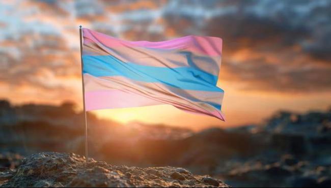 Dia Nacional da Visibilidade Trans: mudanças de gênero em cartórios crescem 12% no Espírito Santo em 2025