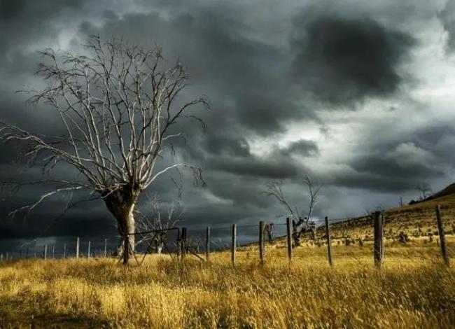 Diante de eventos climáticos extremos, seguro rural ganha protagonismo na gestão de risco no campo