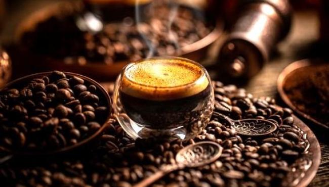 Do campo ao mercado internacional: Nater Coop amplia presença do café capixaba no exterior