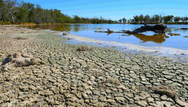 Do preço dos alimentos à falta de água: entenda como o Super El Niño pode afetar sua vida