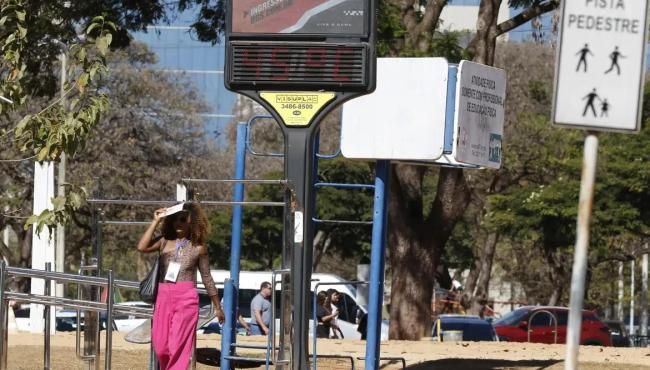 Efeitos das mudanças do clima agravam alergias, diz especialista