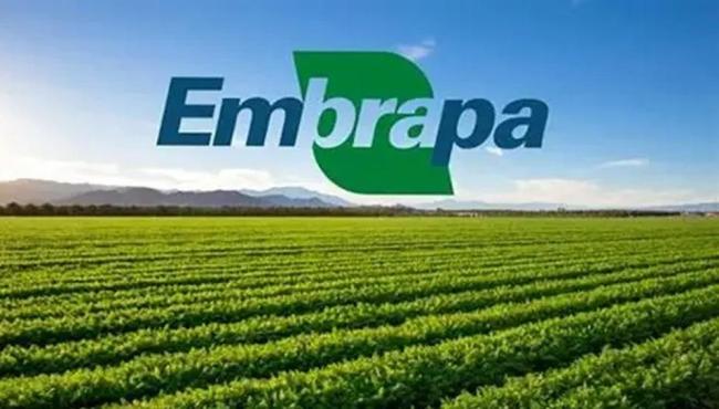 Embrapa apresenta estratégias agropecuárias contra os impactos do El Niño nas cinco regiões do país