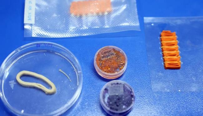 Embrapa produz em laboratório salmão, caviar e anéis de lula veganos
