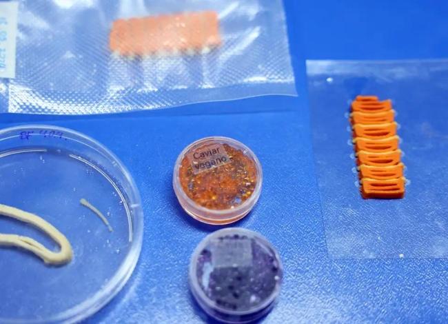Embrapa produz em laboratório salmão, caviar e anéis de lula veganos