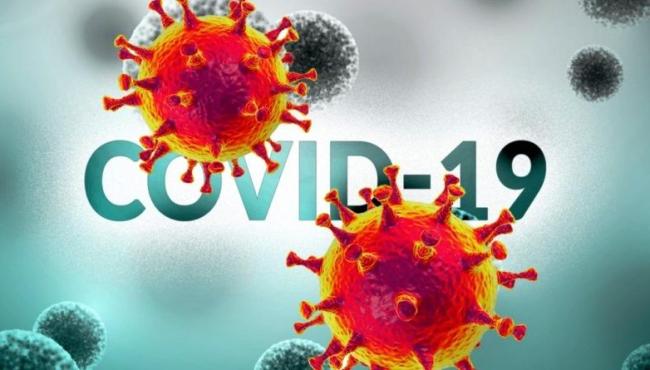 ES chega a 11.759 mortes causadas pela Covid-19 e 535.708 infectados pela doença