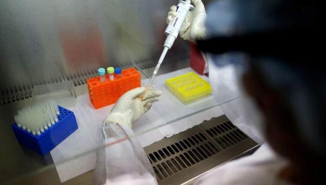 ES chega a 14.393 mortes e 1.046.461 casos de Covid-19 nesta quinta-feira (28)