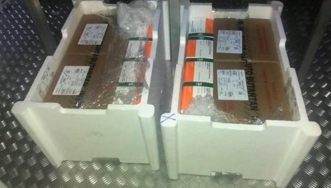 ES recebe 48.200 novas doses para vacinação contra a Covid-19