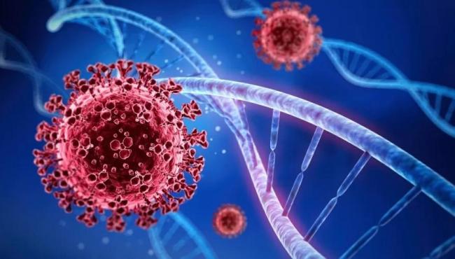 ES registra 1.972 infectados pela Covid-19 em 24 horas e soma 477.257 casos
