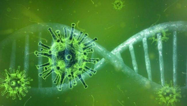 ES tem apenas 167 casos e nenhum registro de morte por Covid-19 nas últimas 24 horas