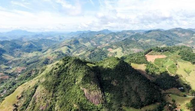 ES ultrapassa 2 milhões de mudas plantadas e reafirma liderança nacional em recuperação da Mata Atlântica