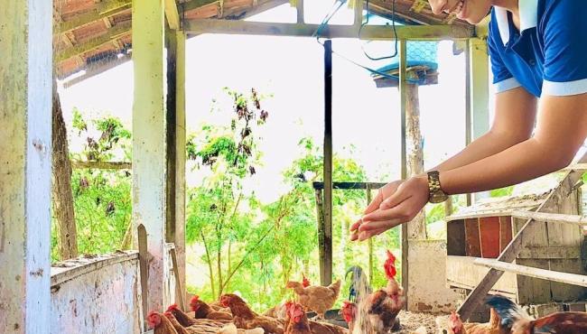 Escola Rural de Tempo Integral em Vila Pavão prepara alunos para mercado agropecuário