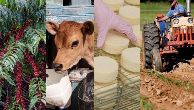 Espírito Santo bate recorde de crédito rural na safra 2024/2025 com alta de 23,6%
