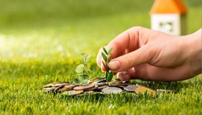 Espírito Santo começa ano-safra 2025 com crescimento nas aplicações de crédito rural